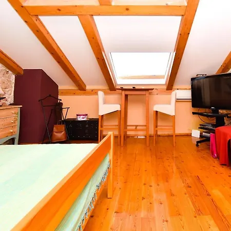 House Tomcat Ždrelac