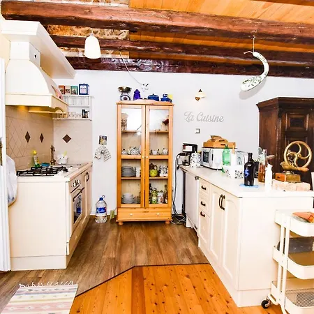 House Tomcat * Ždrelac